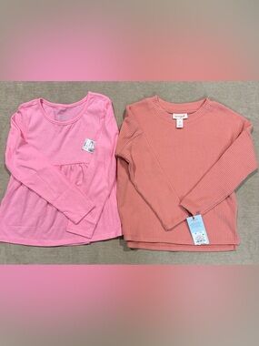 4T LOT of 2 Long Sleeve Toddler Girl Shirts - Cat&Jack and The Children's Place